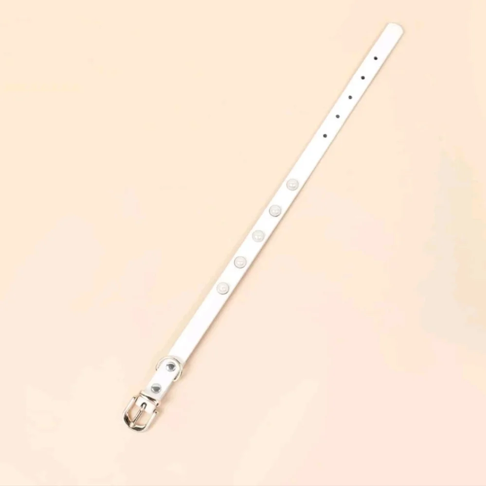 XS Faux Pearl Decor Pet Collar